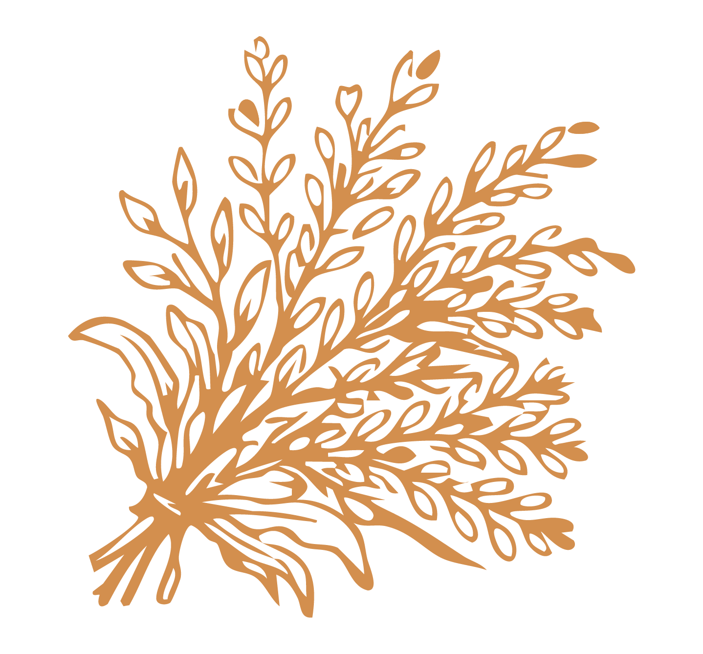 ervas adaptogénicas